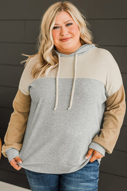 Multicolour Plus Size Colorblock Drop Shoulder Ribbed Knit Hoodie