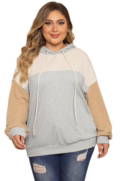 Multicolour Plus Size Colorblock Drop Shoulder Ribbed Knit Hoodie