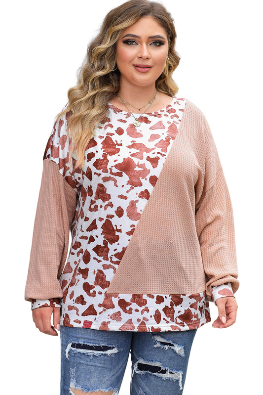 Pink Cow Spots Colorblock Long Sleeve Plus Size Top