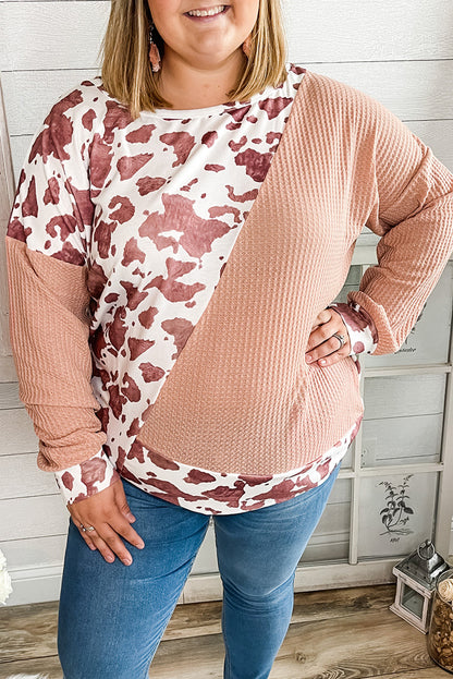 Pink Cow Spots Colorblock Long Sleeve Plus Size Top