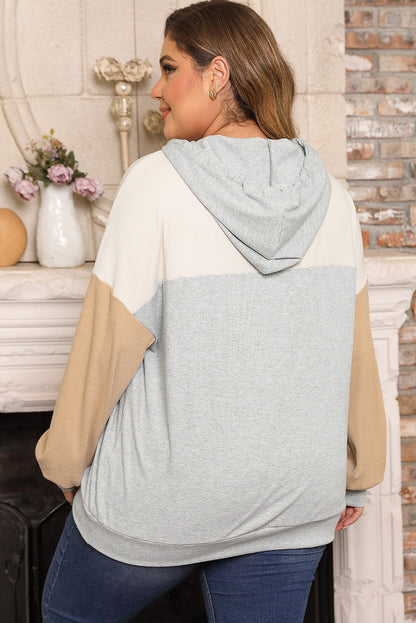 Multicolour Plus Size Colorblock Drop Shoulder Ribbed Knit Hoodie